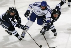 cba排名榜最新排名榜 - cba排名榜最新排名榜图片