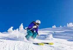 欧洲杯德国vs苏格兰/欧洲杯德国队vs英格兰