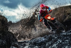 德黑兰独立?德黑兰独立vs利雅得胜利?